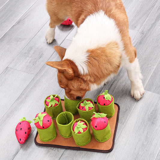 Strawberries & Fun Pet Toy - Chew Food Toy for Dogs & Cats