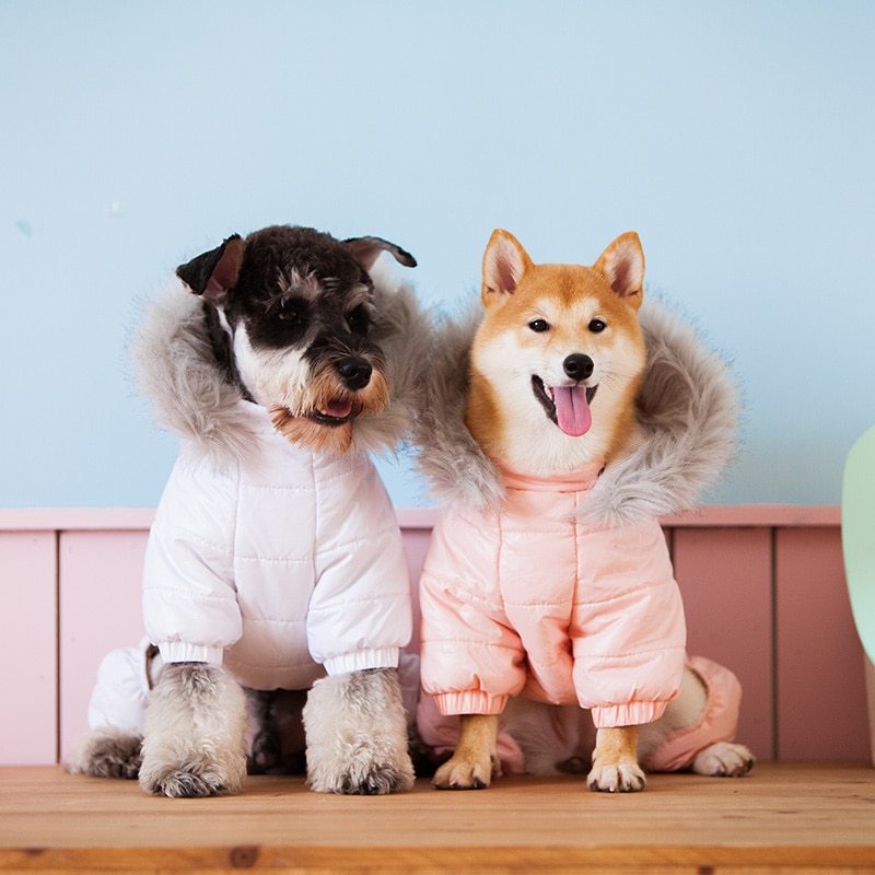 Pet Clothing - Stylish Apparel for Dogs