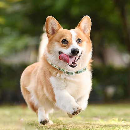 抗ノミ＆リラックスペットカラー - 調整可能な犬と猫の屋外用忌避剤