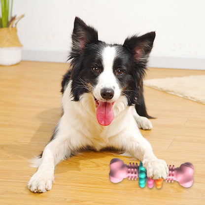 壊れない犬用噛む骨 - TPR歯磨き＆歯が生え始めた犬のおもちゃ