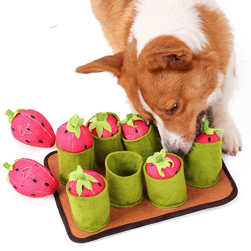 Strawberries & Fun Pet Juguete - Toy de comida para perros y gatos