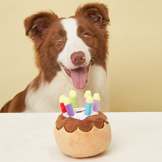 Plush Pet Birthday Toy – Candle Cake Design