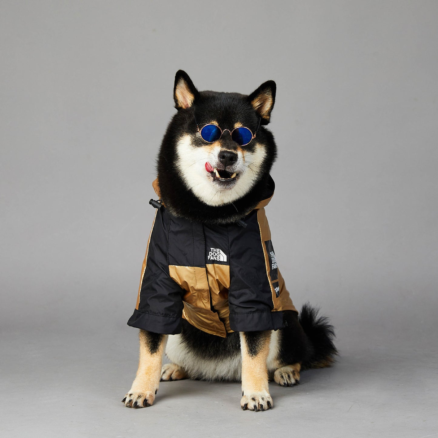 Gran impermeable para perros - chaqueta de mascotas impermeable para aventuras al aire libre