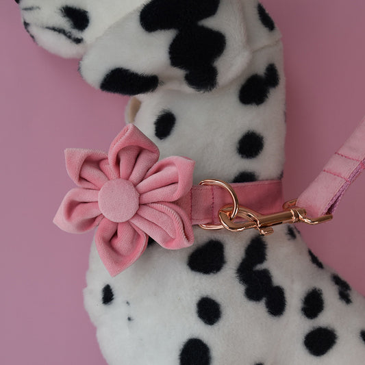 Luxe Goose Down Dog Collar - Hebilla de oro rosa